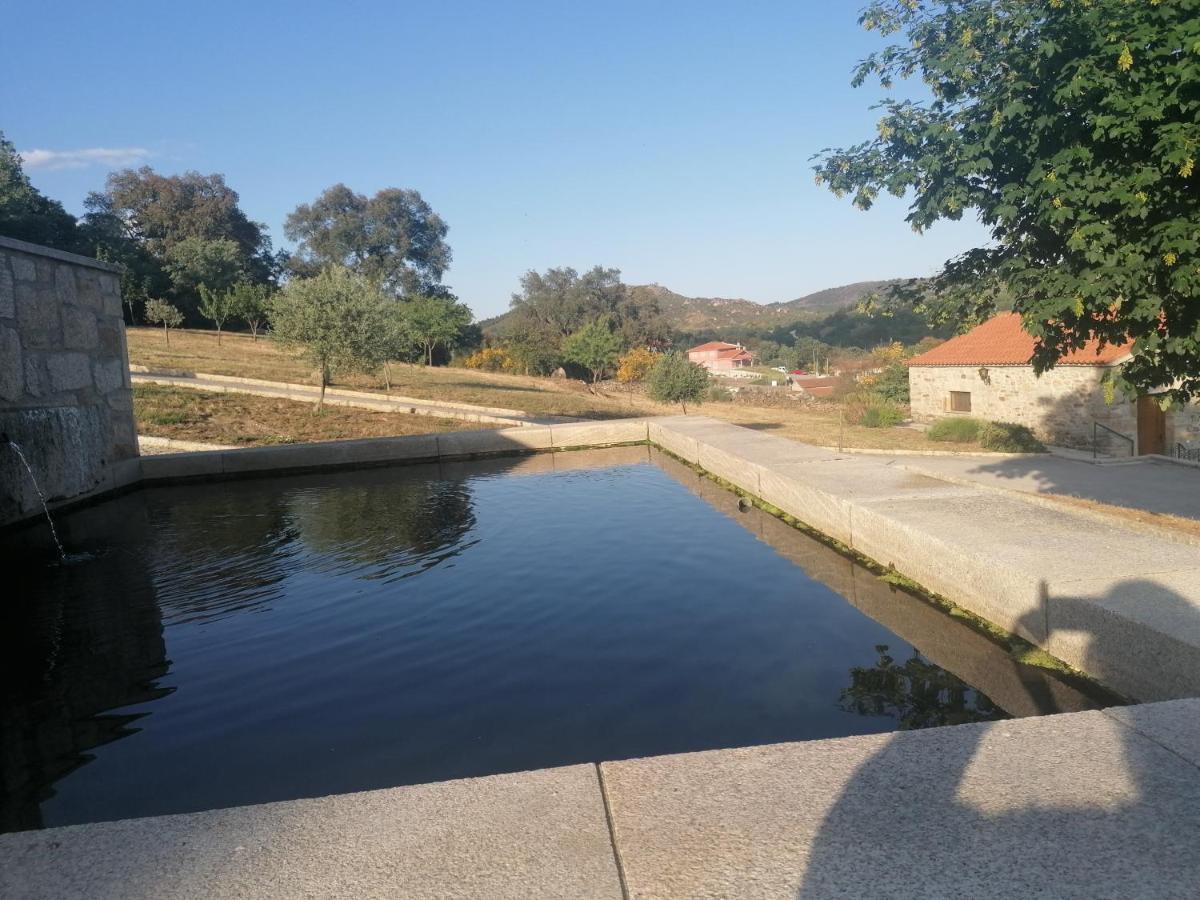 Lirios Da Granja - Casa De Campo المظهر الخارجي الصورة