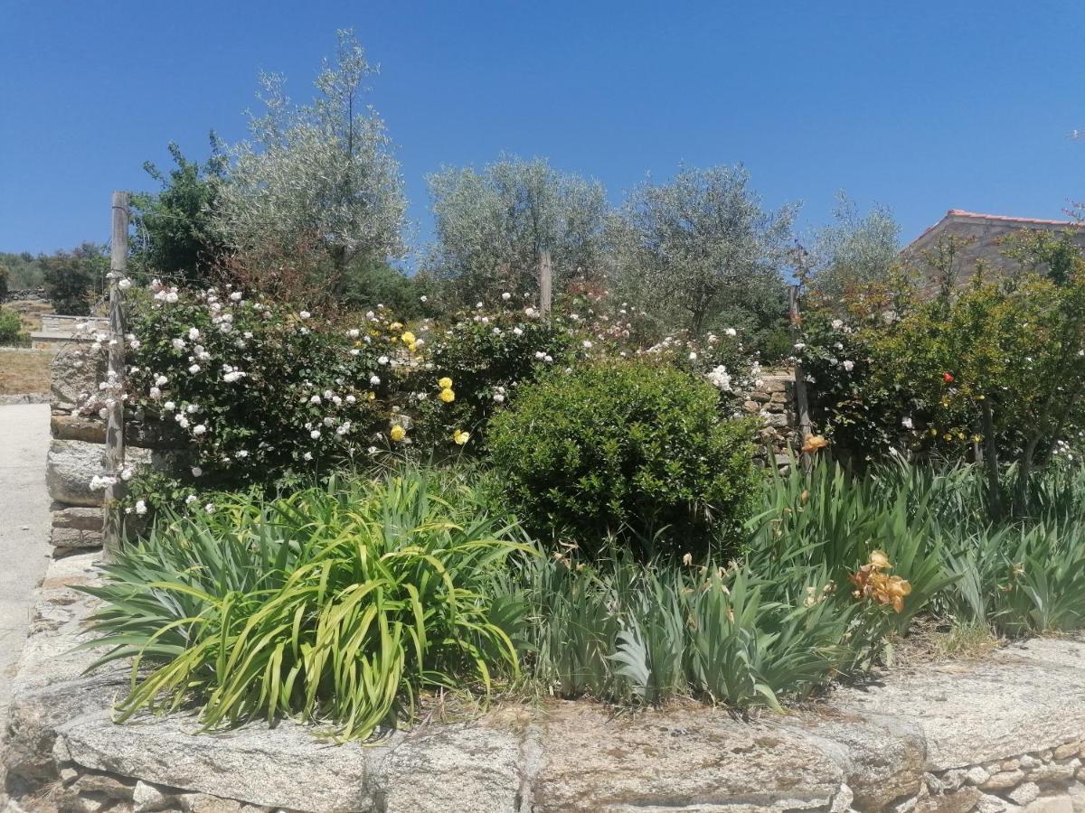 Lirios Da Granja - Casa De Campo المظهر الخارجي الصورة