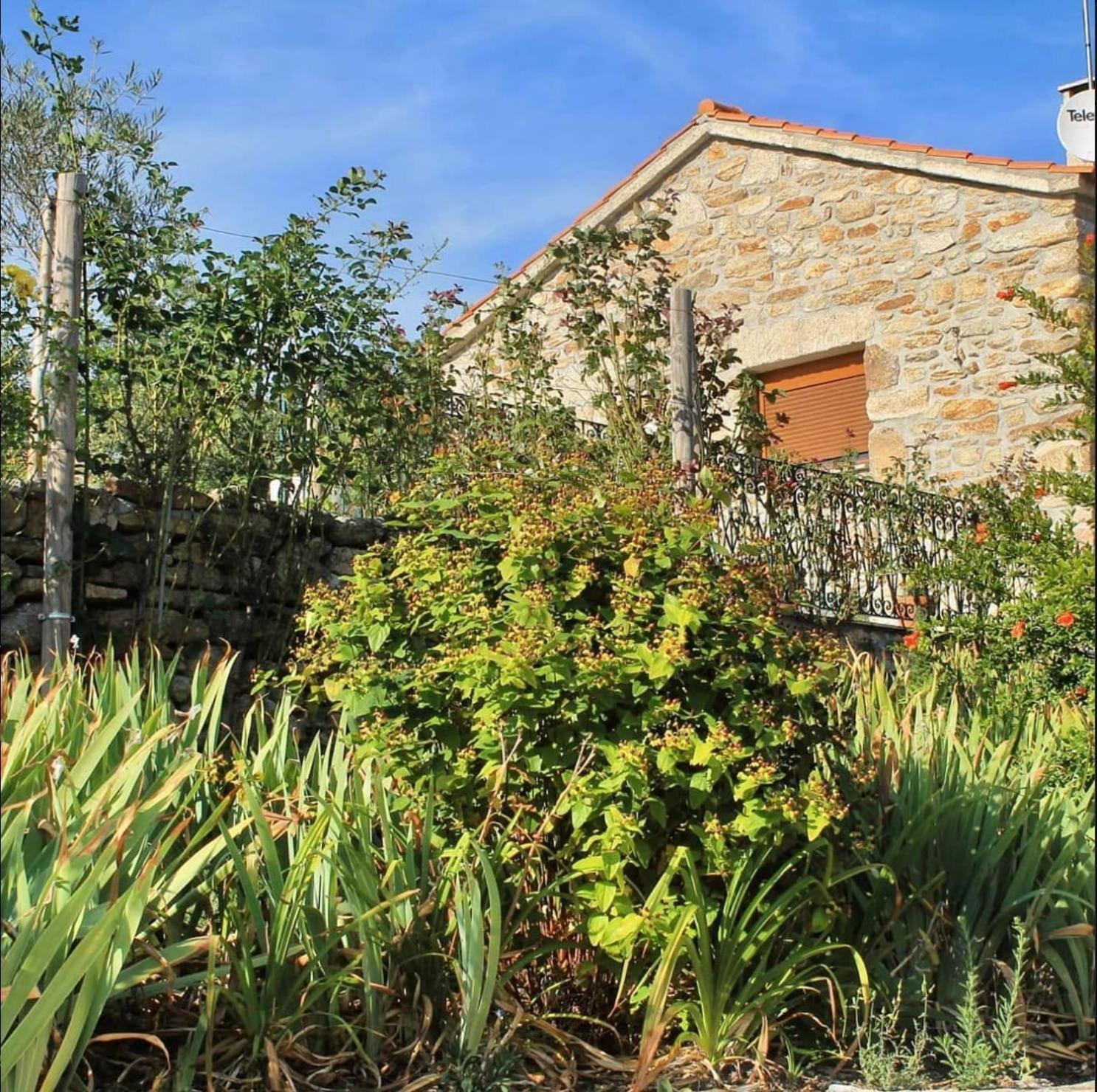 Lirios Da Granja - Casa De Campo المظهر الخارجي الصورة